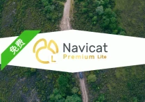 Navicat Premium Lite 免费版 | 新手与初级用户的首选